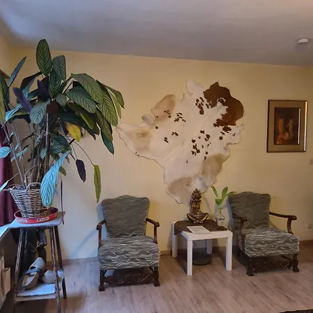 Gent's For Short And Middle Long Apartment *